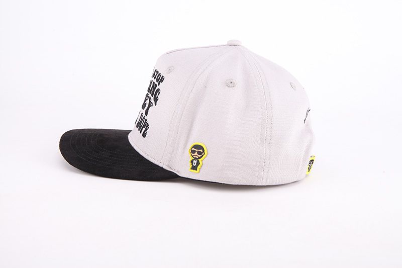 "Stop Spending Money" Snapback Cap