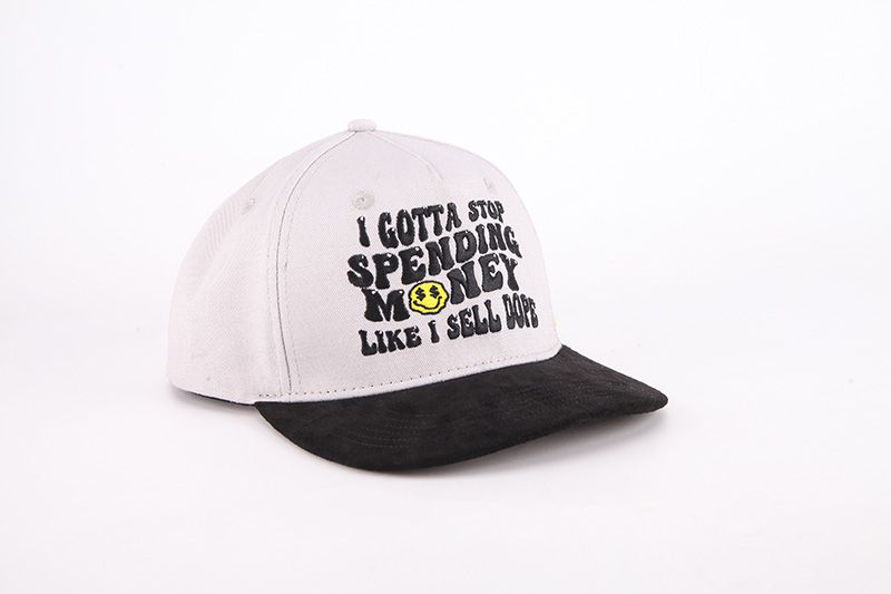 "Stop Spending Money" Snapback Cap